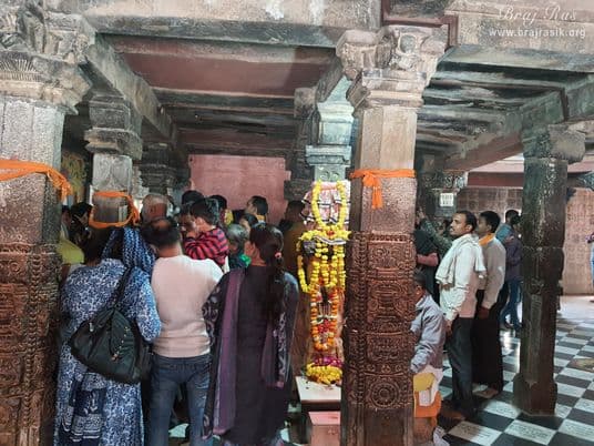Intricate Pillars of Chaurasi Khamba Mandir
