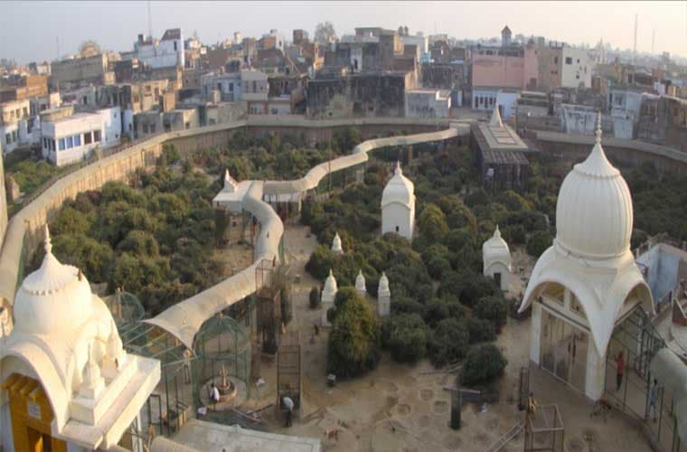 Rang Mahal Nidhivan